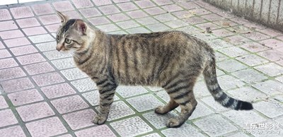 【悠闲时光】+ 散步又随拍