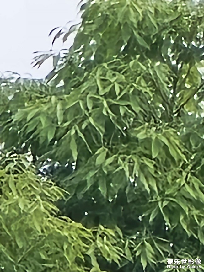 请看图