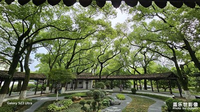 【寻光猎影】夏天的绿