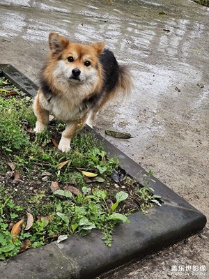【寻光猎影】+生活小碎片