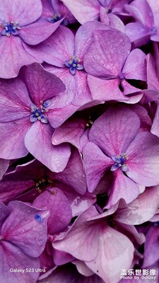 【浓情端午】端午老祖宗留下的节日