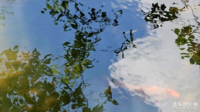 【七月风光】今日晴