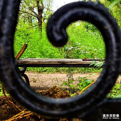 綠野迷蹤