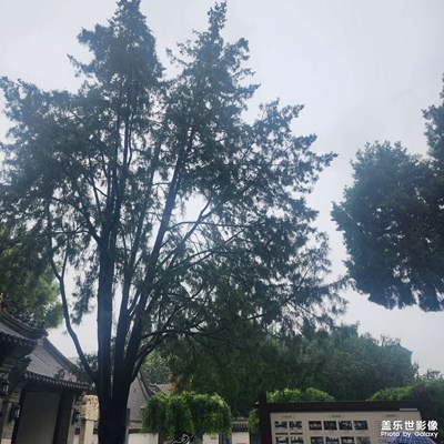 【边走边拍】 随拍美景