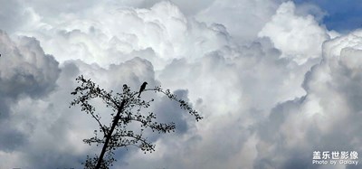 扫街，扫风光，意境美。