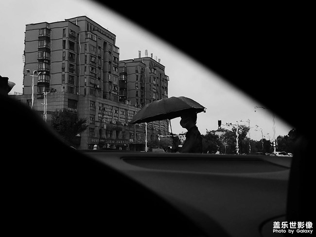 萧条已入寒空静，飒沓仍随秋雨飞