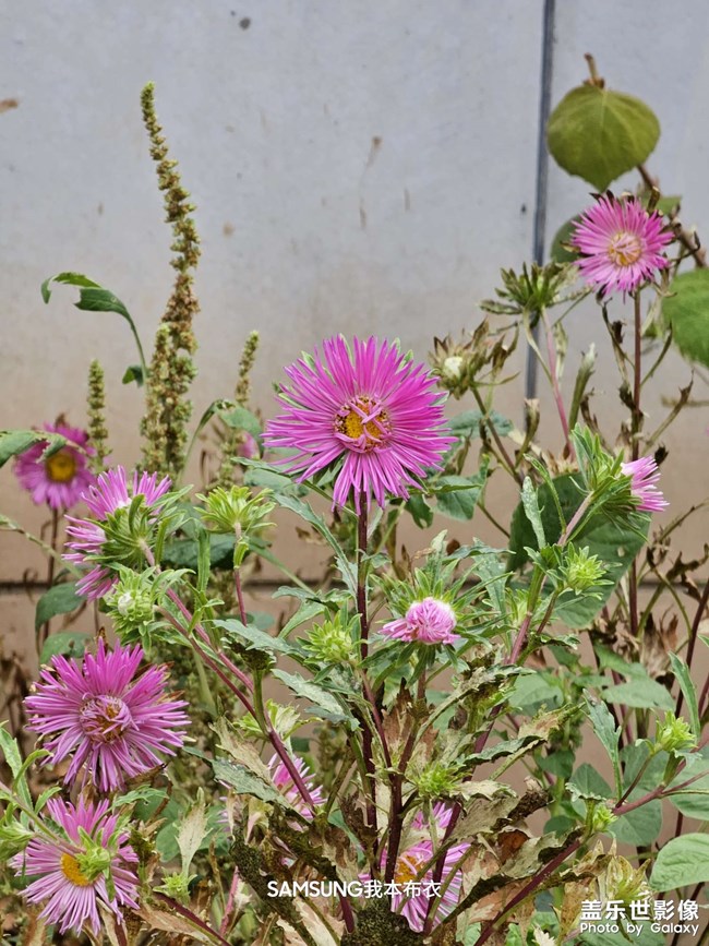 200000000砍成啥了？解析力都没法看了