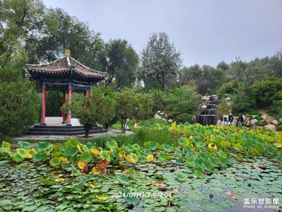 【金秋银十迎双节】＋兰州风景