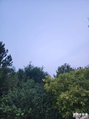 【静美时分 】秋天随拍