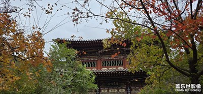 秋景