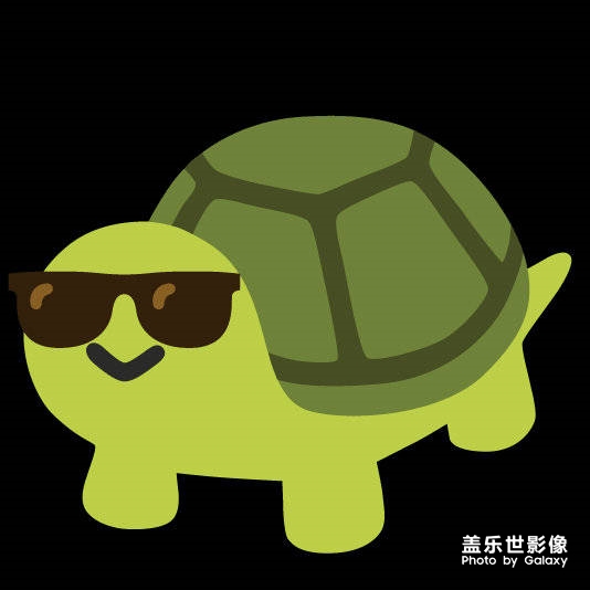 活动打卡