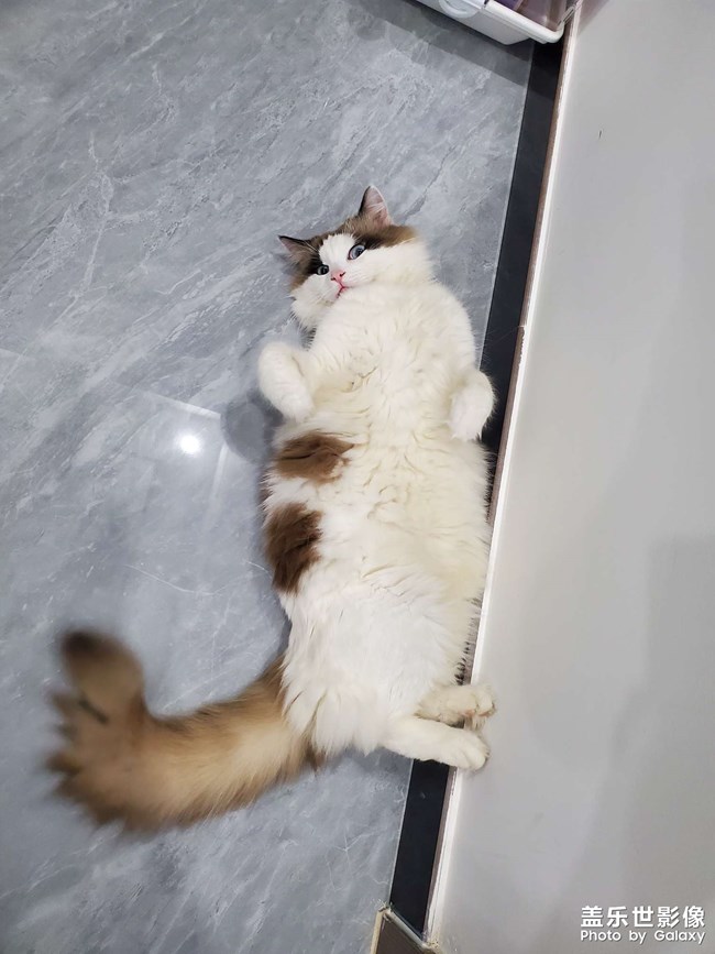 日常