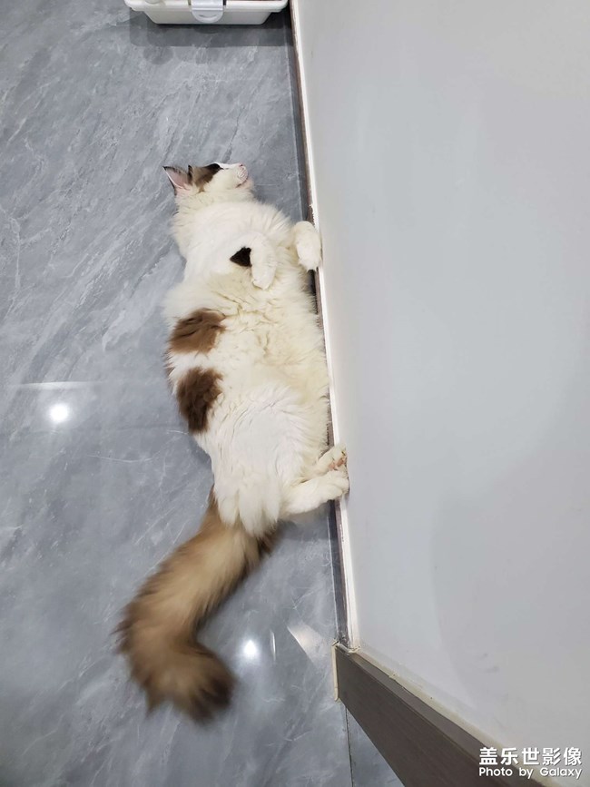 日常