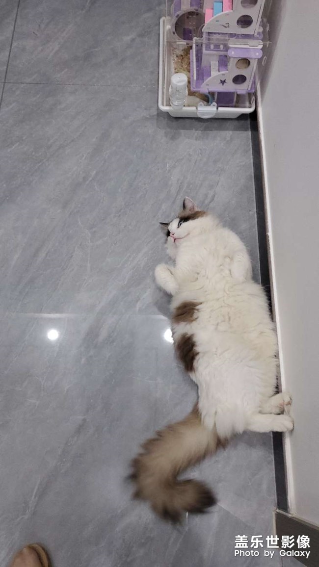 日常