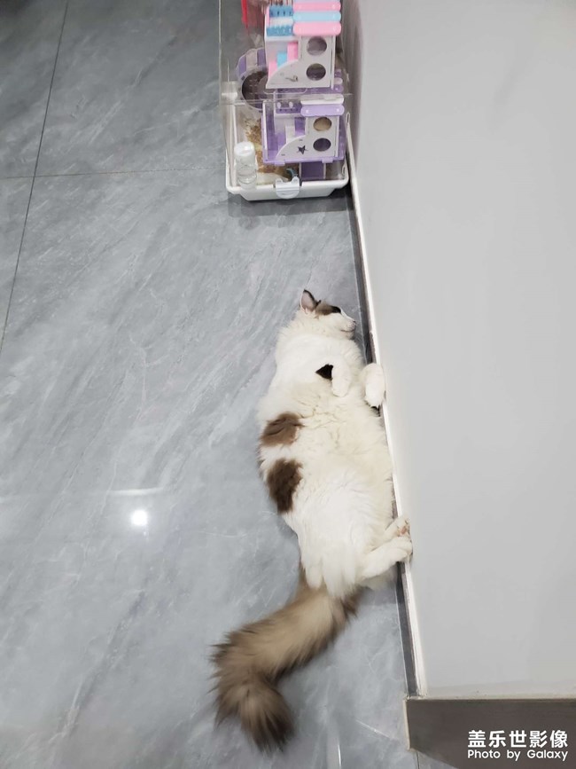 日常