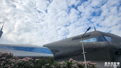 【冬季城市风光】+ 鲜花如画