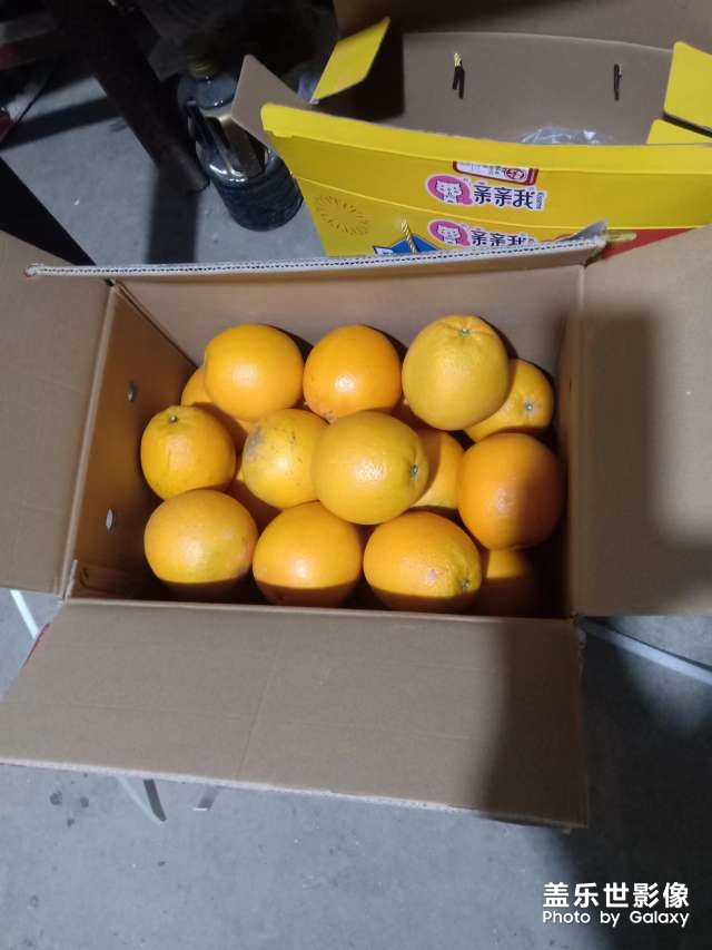 江西赣州橙子