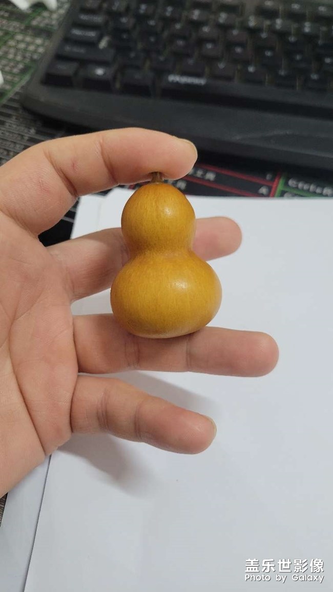 想看每一天的变化，就像养花一样