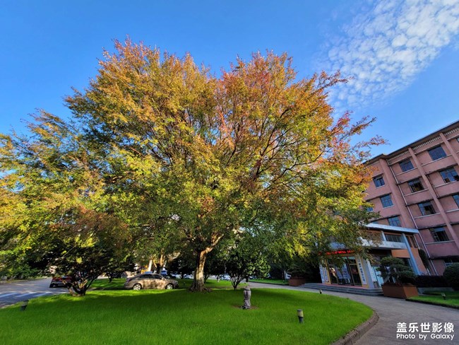 记录一下公司的院子