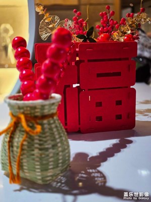 已开奖【盖乐世影像周赛第381期】——春节趣事