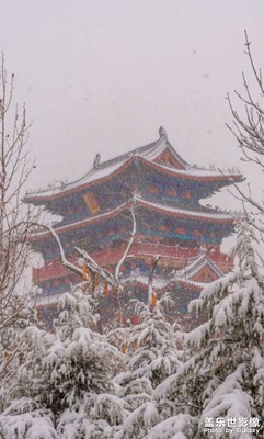 【金蛇转好运】2025年初雪