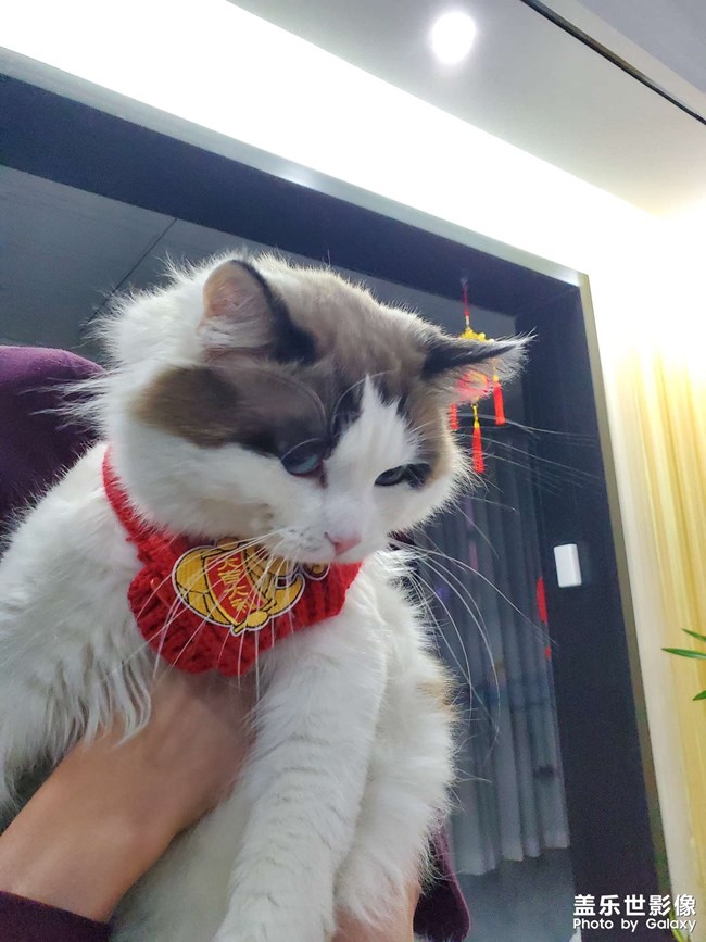 过年