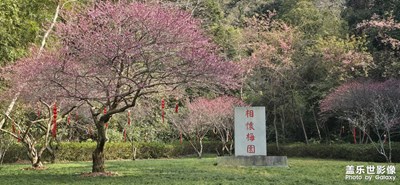 随手拍