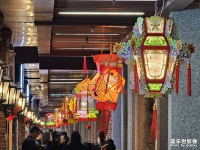 【灯影情长】灯影刺桐夜