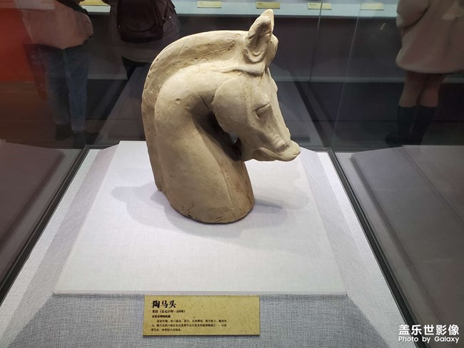 变身牛马已经两个小时了