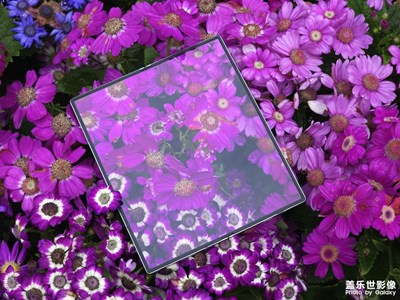 携Galaxy Z Fold6融入春天里