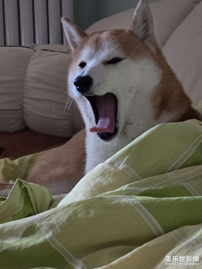 别熬夜了洗洗睡吧