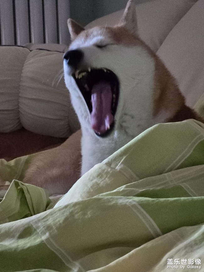 别熬夜了洗洗睡吧