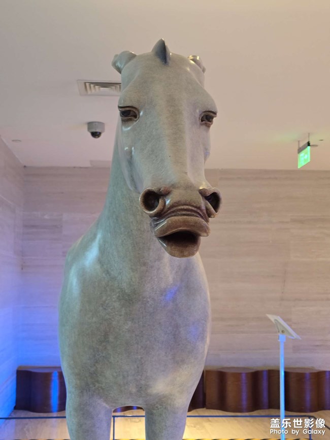 还是那个马还是那个牛