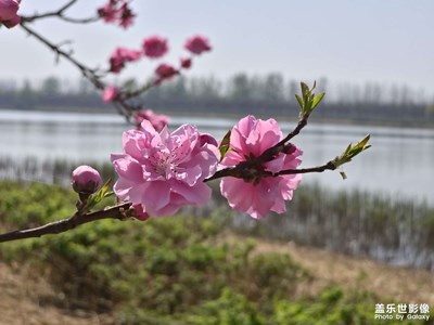 【人间四月天】