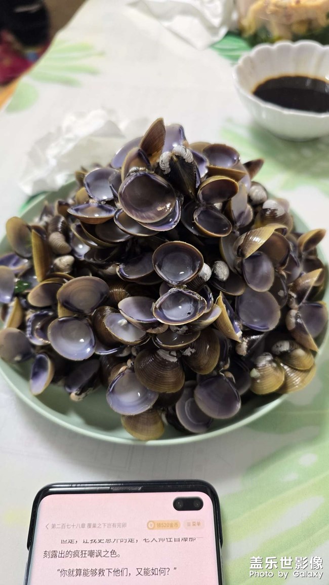 有知道这是什么的小伙伴不