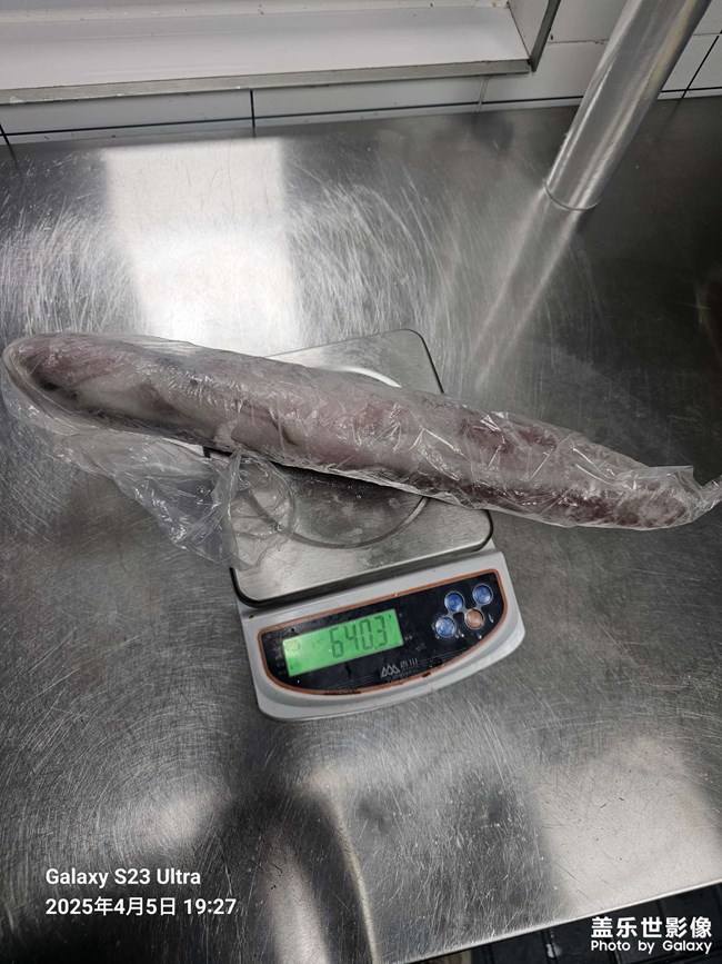 海鲜