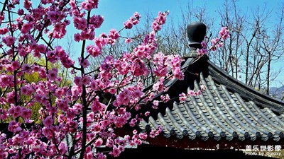 慢想时光～春天的气息