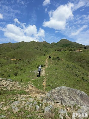 跟着我巡山啰