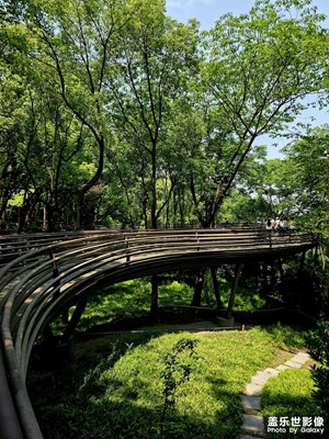 白蛇飞渡桥