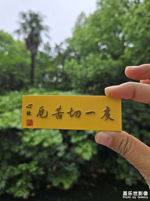 【悦见小满】+扬州镇江游