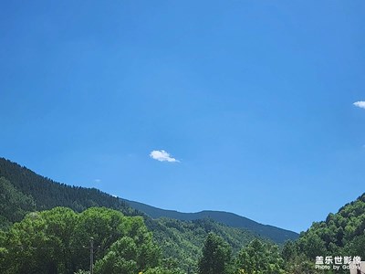 【花开半夏】 夏天的气息
