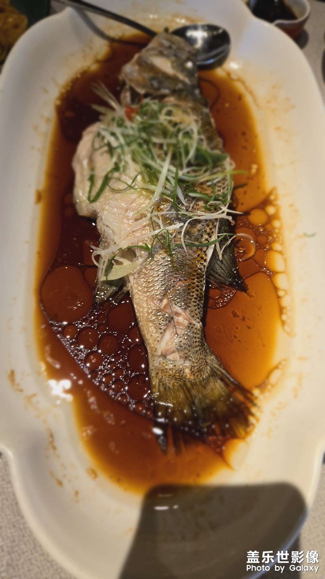 美食走起续集