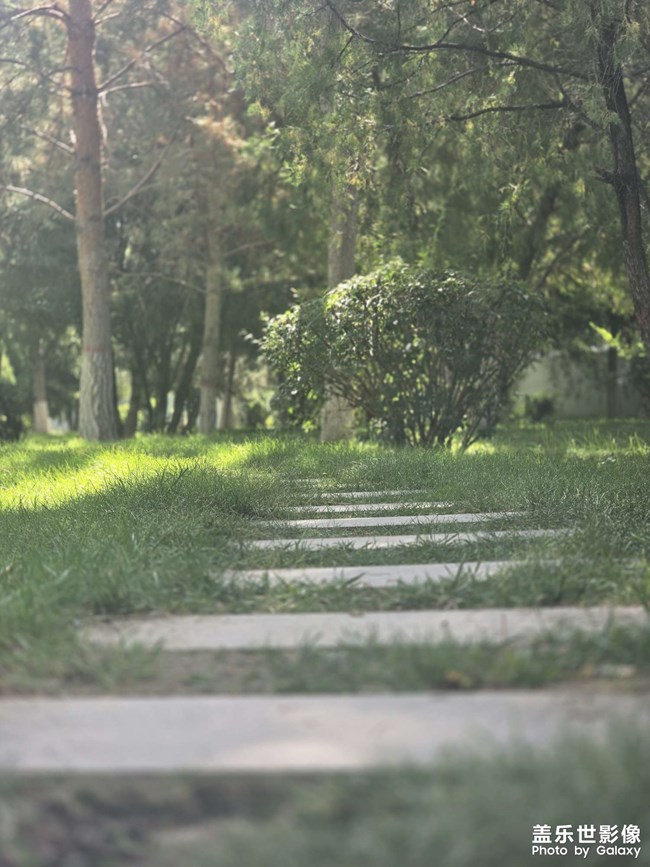 寻常路幸福路
