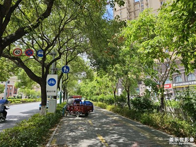 【光影里的寻找】街景随拍