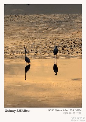 【光影里的寻找】+夕阳下