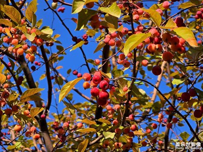 【光影里的寻找】+乌鲁木齐小绿谷