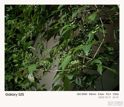 《光影色彩》—日常中的光影色彩