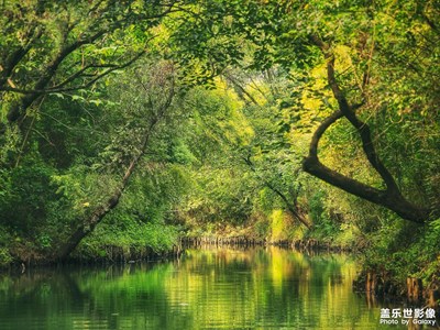 【秋日丽影】+西溪印象