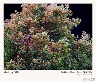 《夜生活》—用镜头框住塞博夜景