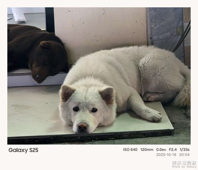 《节日盛景》—镜框下的节假日